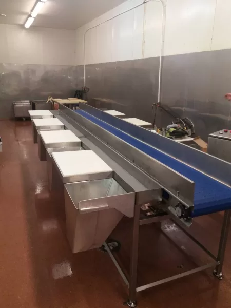 Processing line with a modular conveyor